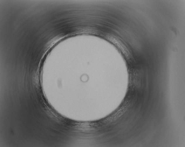 X0000116310828200912291449