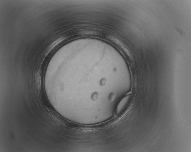 X0000116310829200912291449