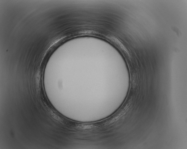 X0000116310831200912291449