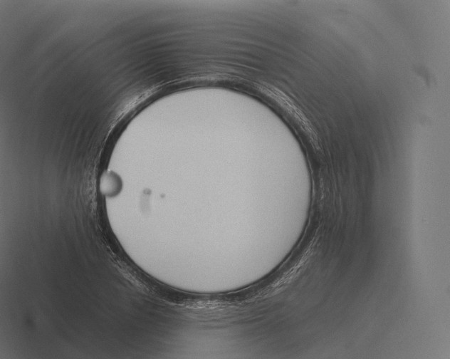 X0000116310834200912291449