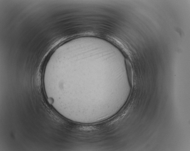 X0000116310835200912291449