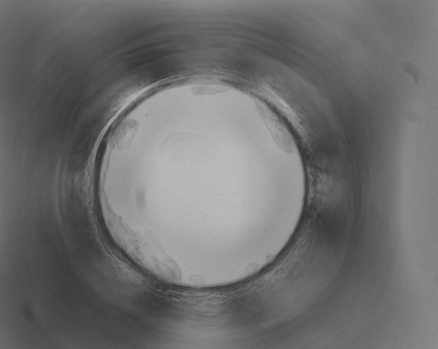 X0000116310836200912291449