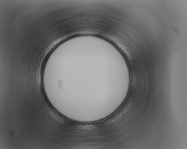 X0000116310837200912291449