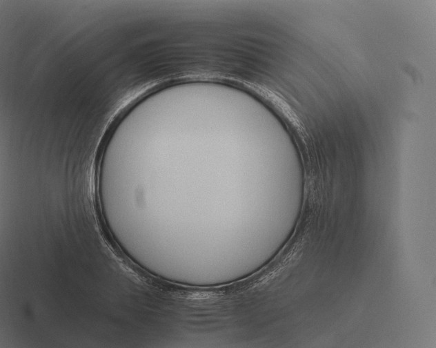 X0000116310839200912291449