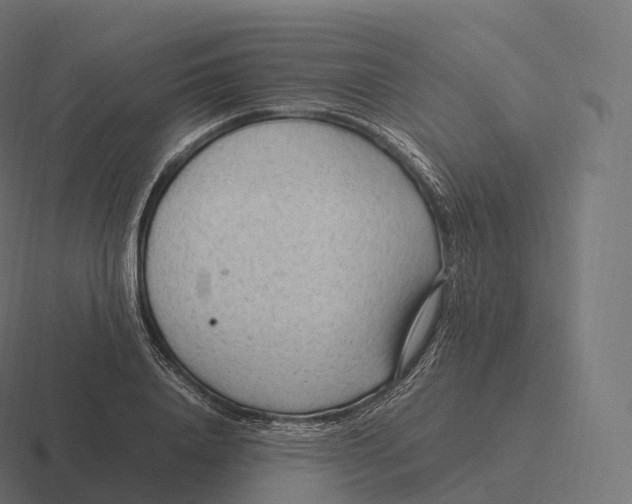 X0000116310840200912291449