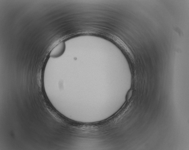 X0000116310842200912291449