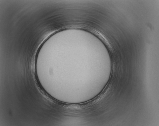 X0000116310844200912291449