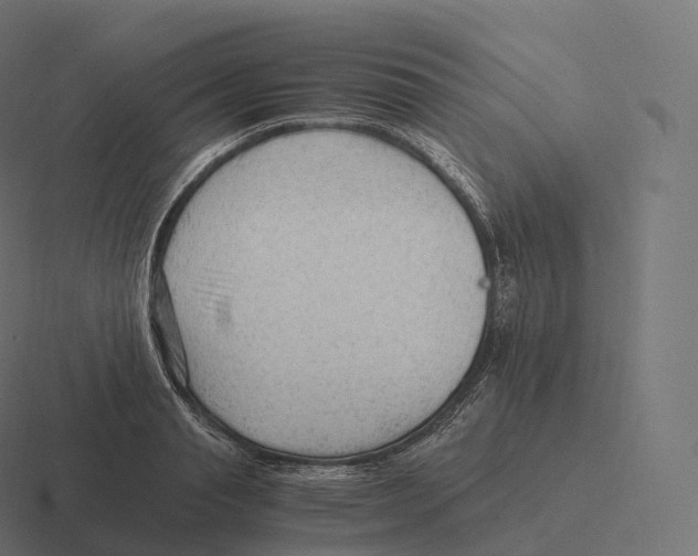 X0000116310845200912291449