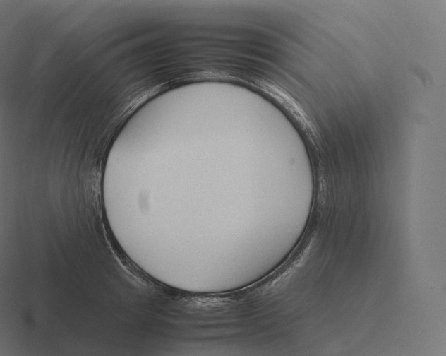 X0000116310849200912291450