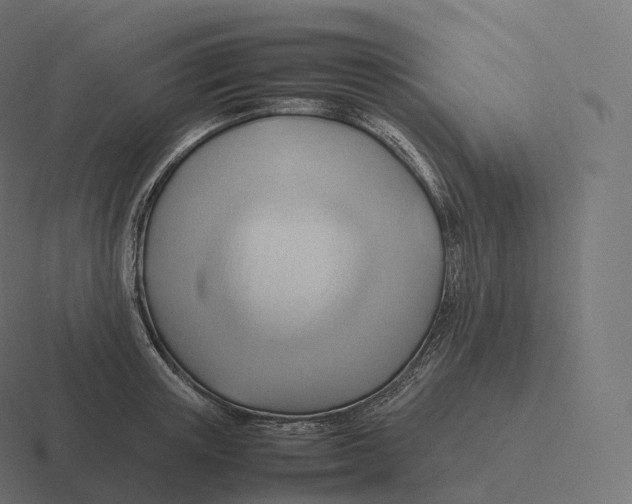 X0000116310851200912291450