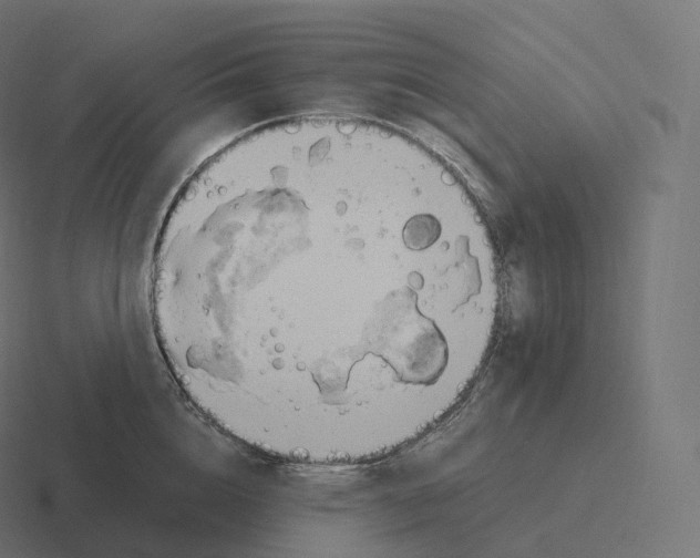 X0000116310856200912291450