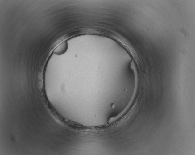 X0000116310858200912291450