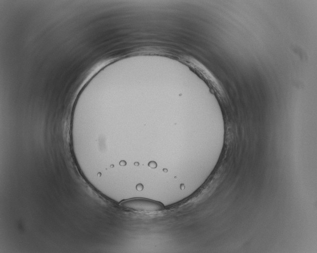 X0000116310860200912291450