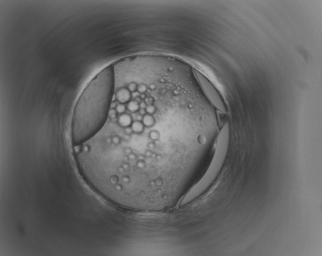 X0000116310863200912291450