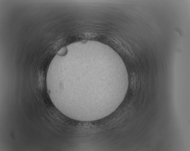 X0000116310866200912291449