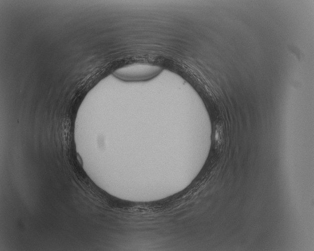 X0000116310867200912291449