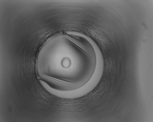 X0000116310868200912291449