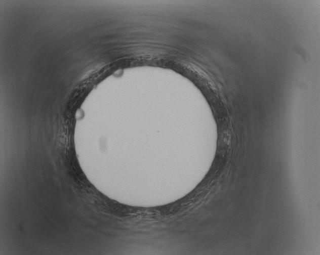 X0000116310869200912291449