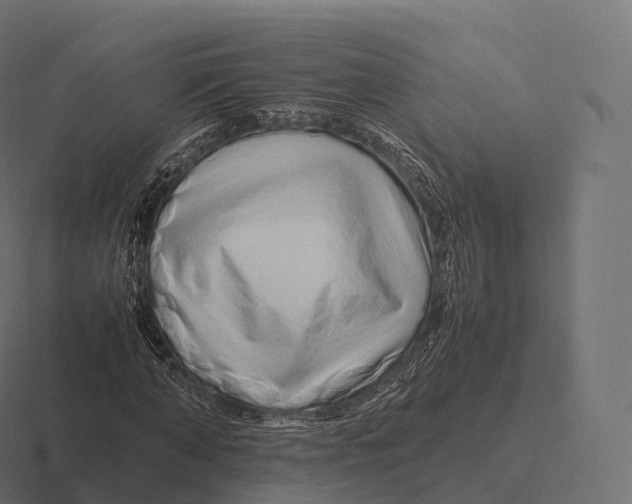 X0000116310870200912291449