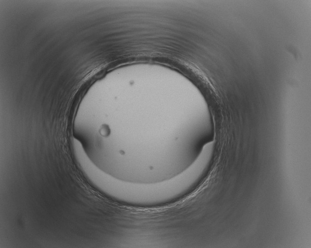 X0000116310873200912291449