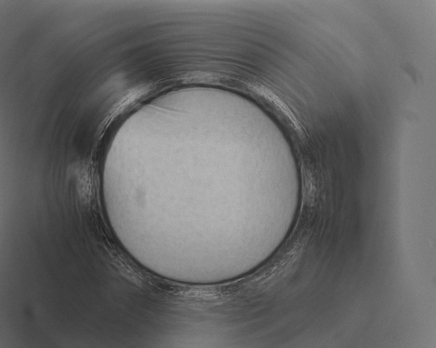 X0000116310874200912291449