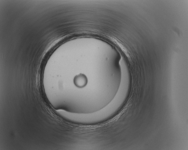 X0000116310877200912291449