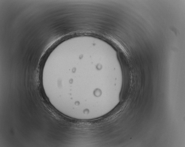 X0000116310878200912291449