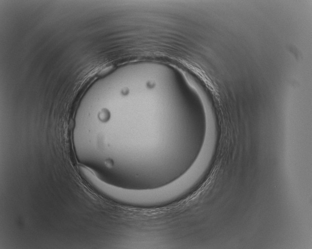 X0000116310881200912291449