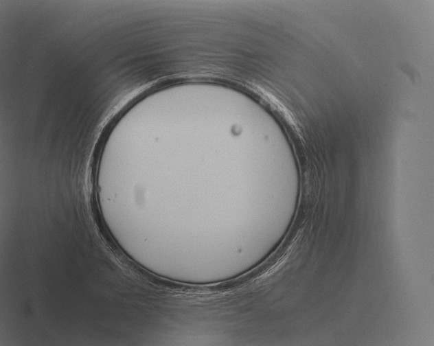 X0000116310885200912291449