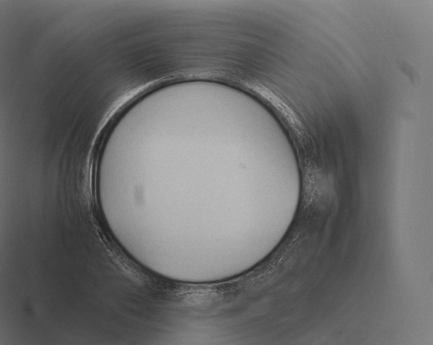 X0000116310886200912291449