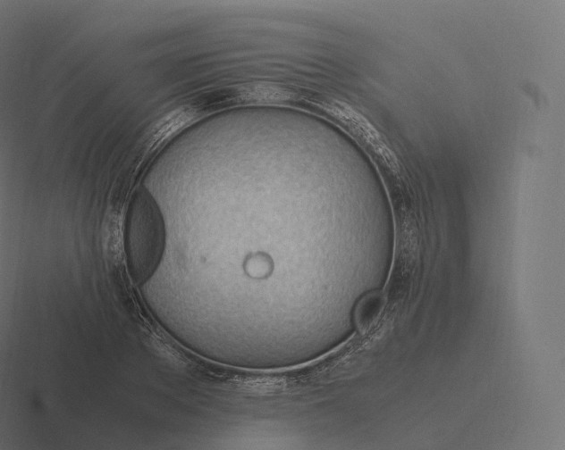 X0000116310889200912291449