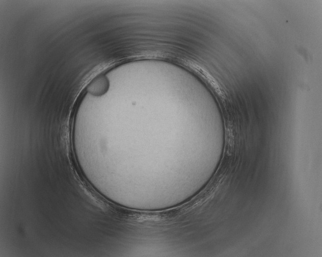 X0000116310890200912291449