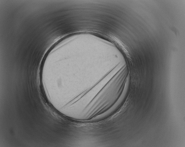 X0000116310892200912291449