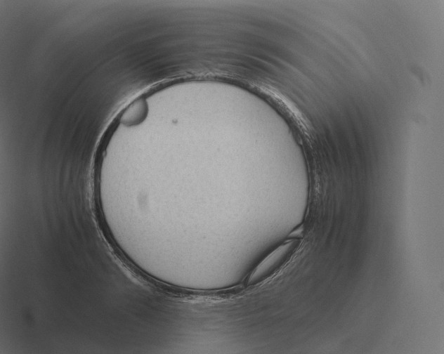 X0000116310894200912291449