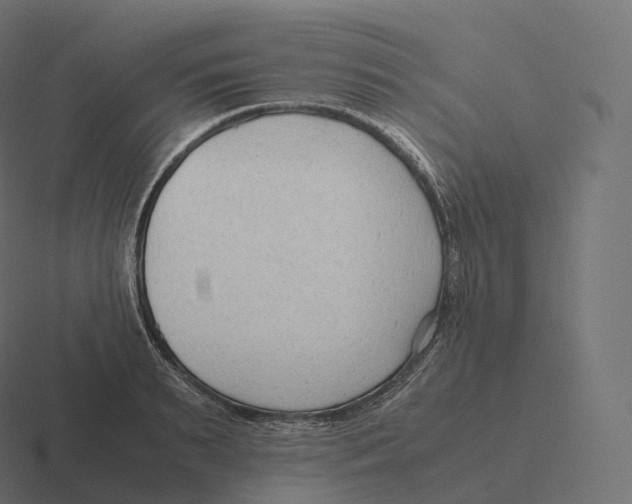 X0000116310895200912291449