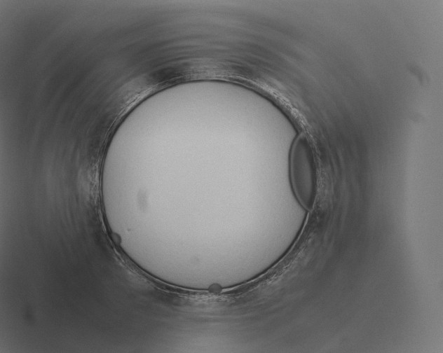 X0000116310897200912291449