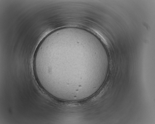 X0000116310899200912291449