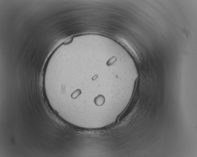 X0000116310900200912291449