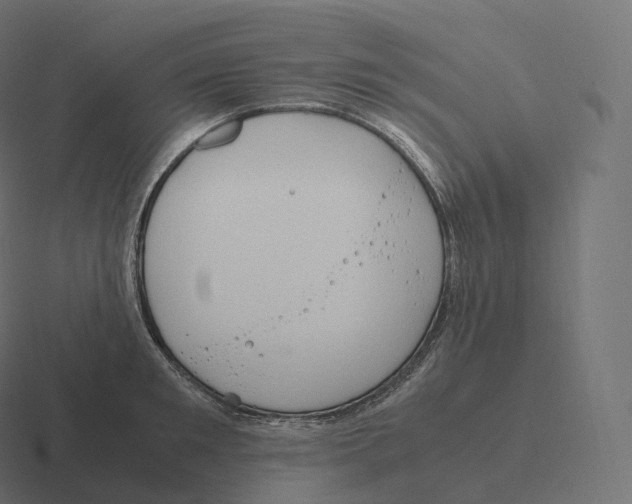 X0000116310901200912291449