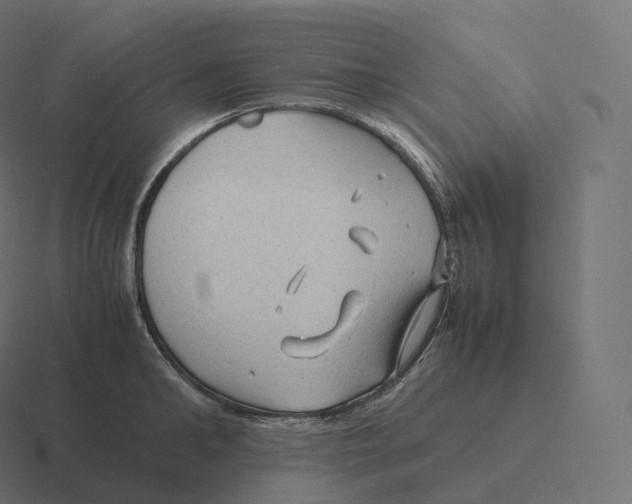 X0000116310902200912291449