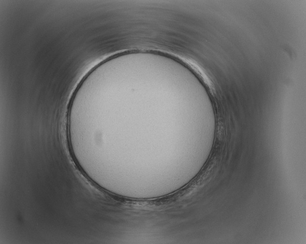 X0000116310903200912291449