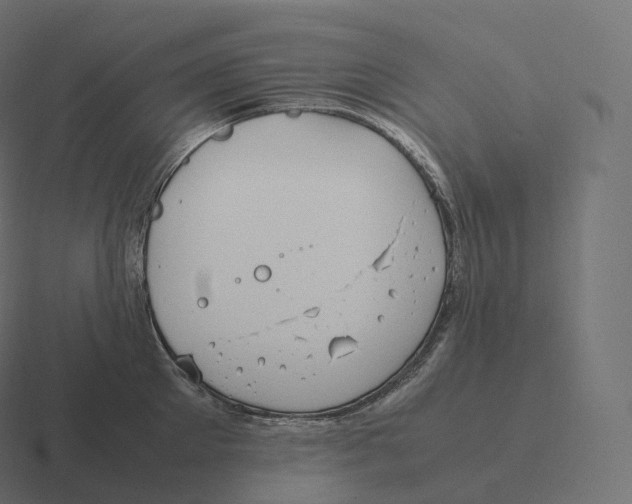 X0000116310905200912291449