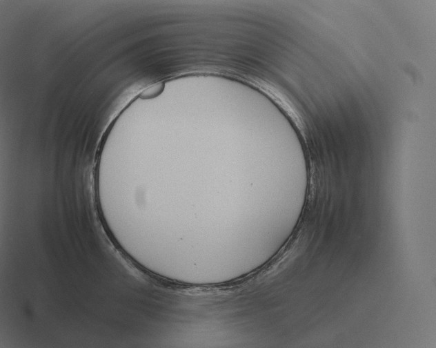 X0000116310906200912291449