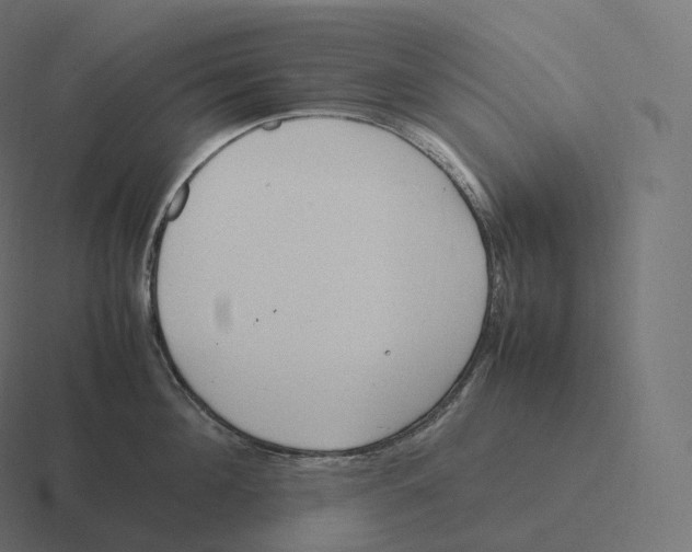 X0000116310908200912291449