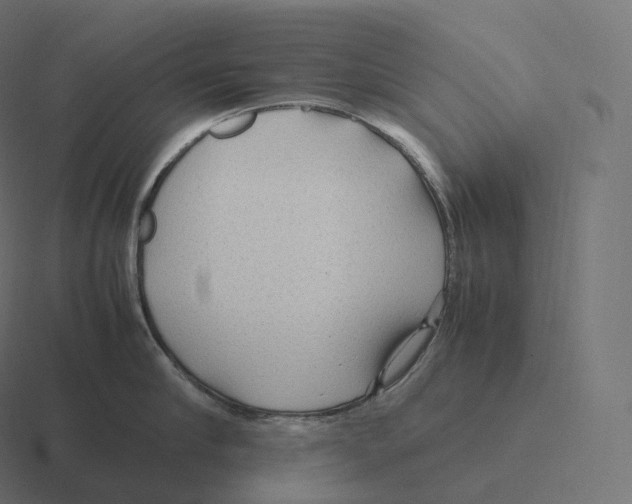 X0000116310910200912291449