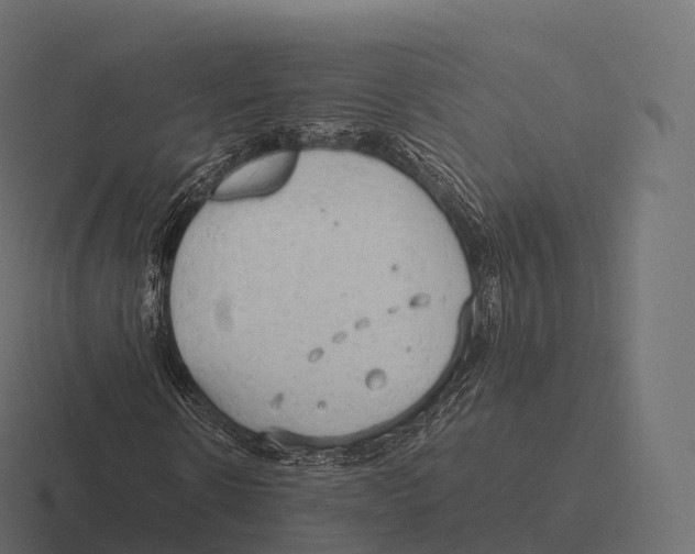 X0000116310914200912291448