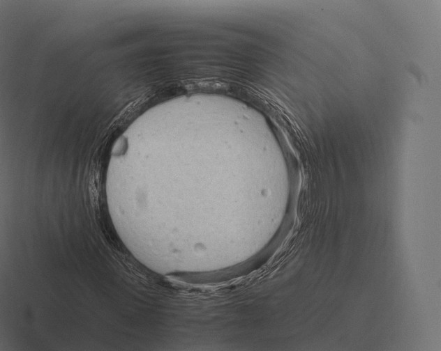 X0000116310915200912291448