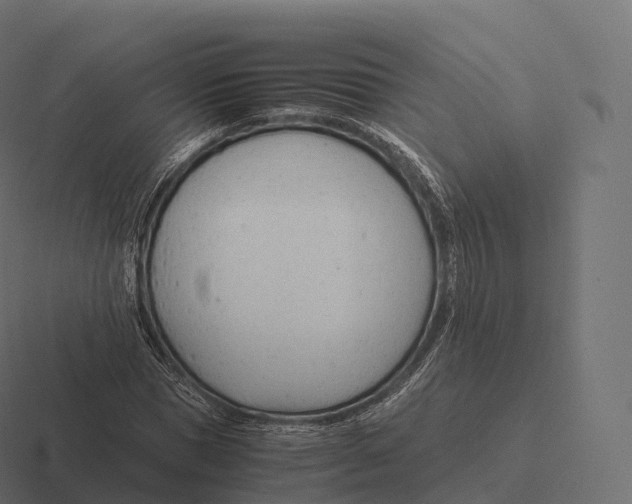 X0000116310921200912291448