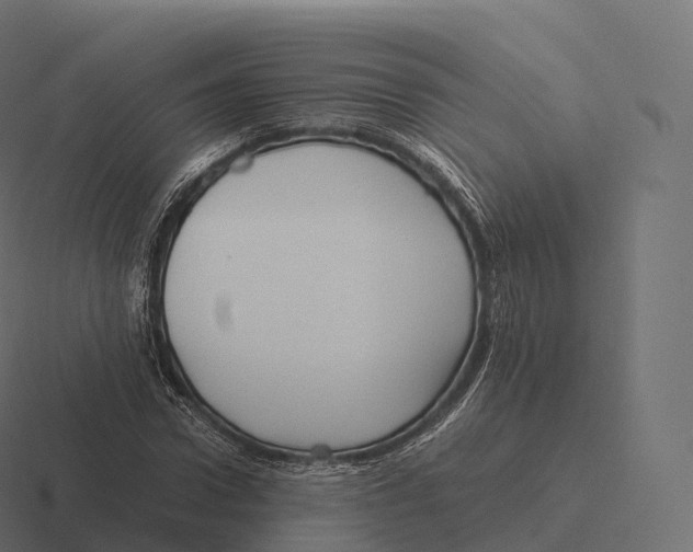 X0000116310922200912291448