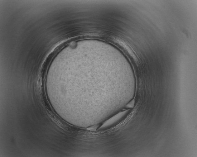 X0000116310923200912291448